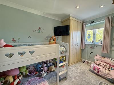 Picture 16